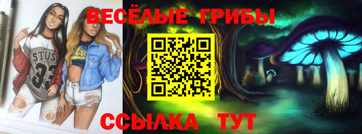 Псилоцибиновые грибы ЛСД  Вход с VPN  Прохладный 